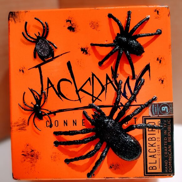 Suenos de Saundra Upcycled Collection, Blackbird JackDaw Cigar Box Decor /Storag - Picture 3 of 15